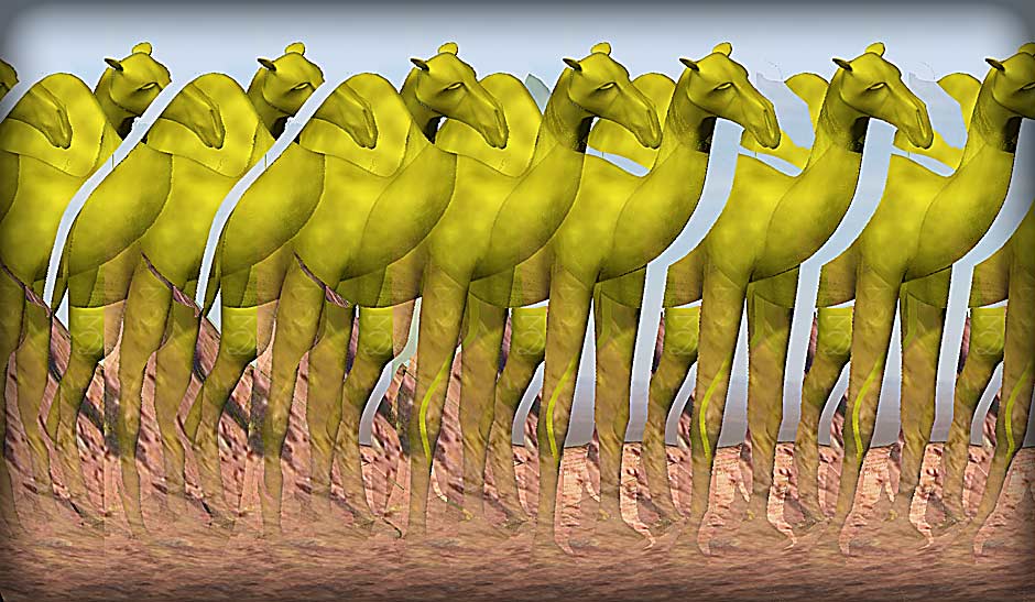 Stereogram by 3Dimka: Camel. Tags: camel, desert, animals,sand, hidden 3D picture (SIRDS)