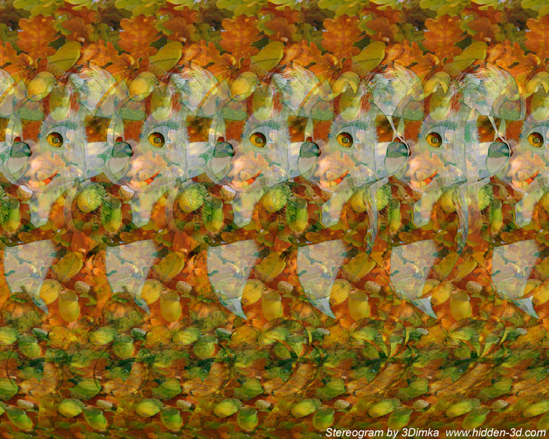 Stereogram by 3Dimka: Nuts for the winter. Tags: squirrel,nuts,animals, hidden 3D picture (SIRDS)