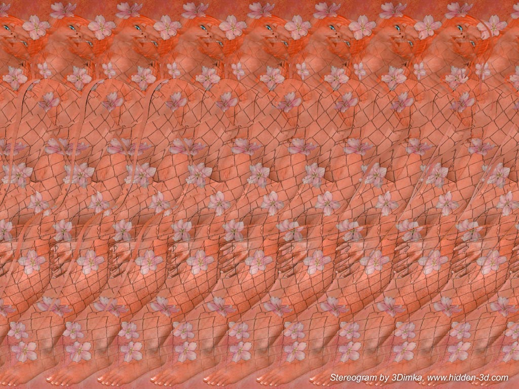 Stereograms Nude 40