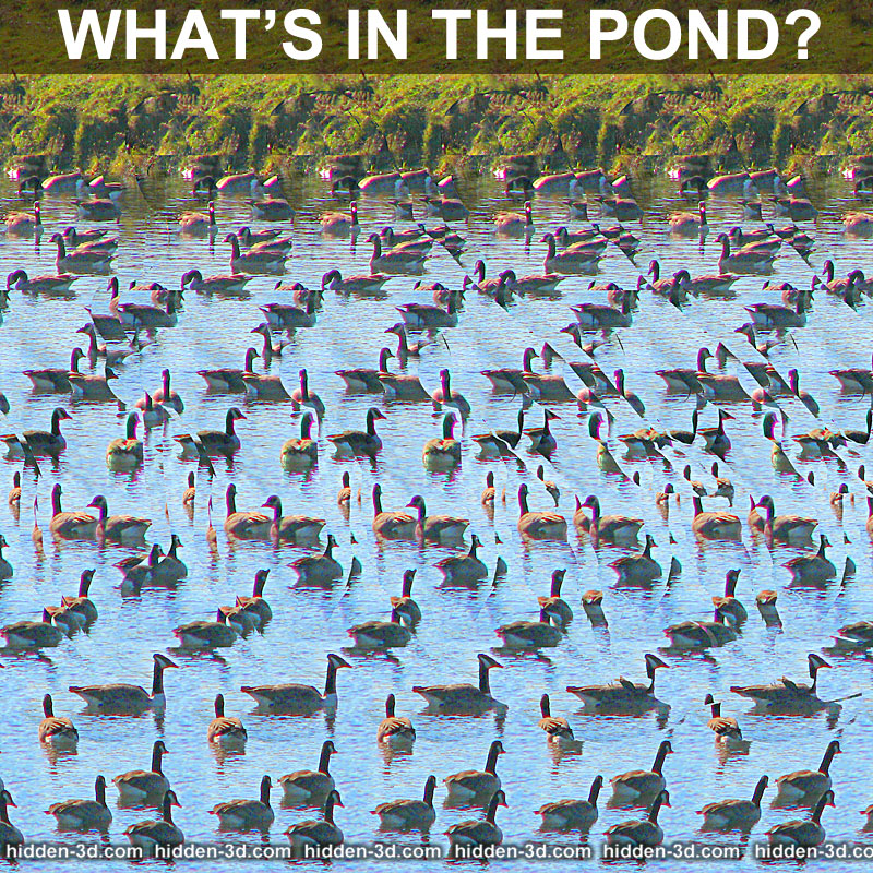Stereogram by 3Dimka: What is in the pond?. Tags: puzzle pond lake river gees mermaid girl, hidden 3D picture (SIRDS)