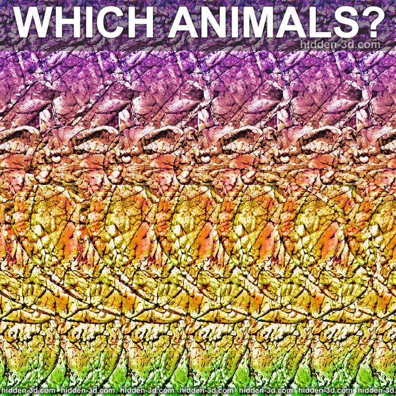 Stereogram by 3Dimka: How many and which animals?. Tags: turtle bunny rabit, hidden 3D picture (SIRDS)
