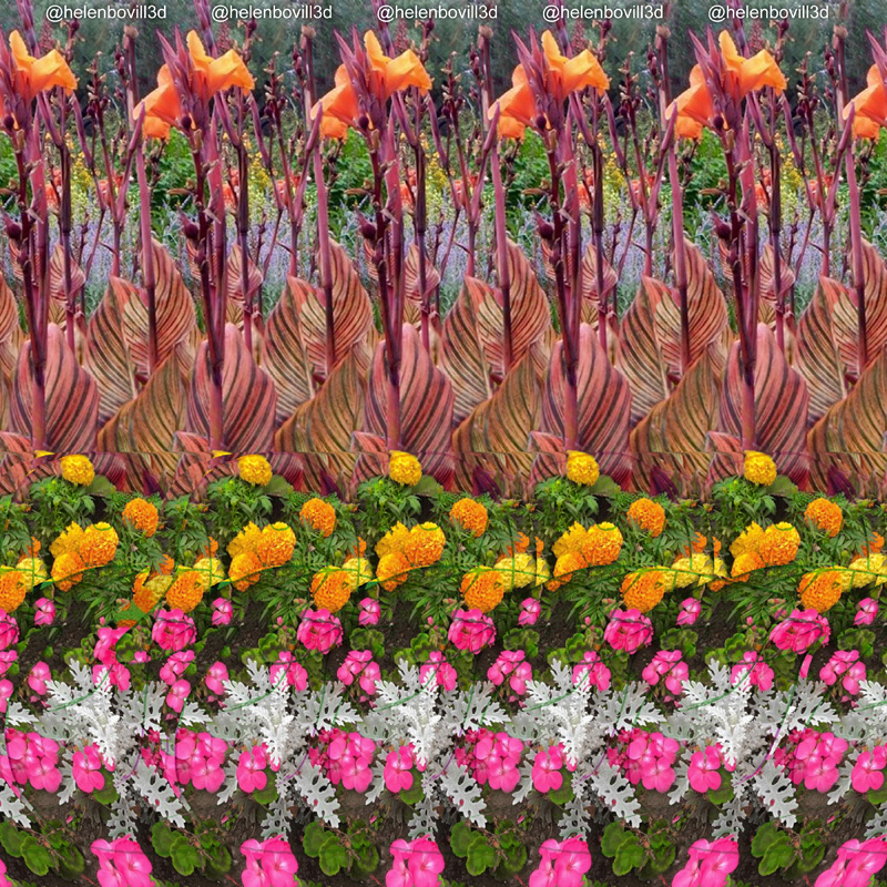 Stereogram by 3Dimka: @helenbovill3d. Tags: duck, hidden 3D picture (SIRDS)