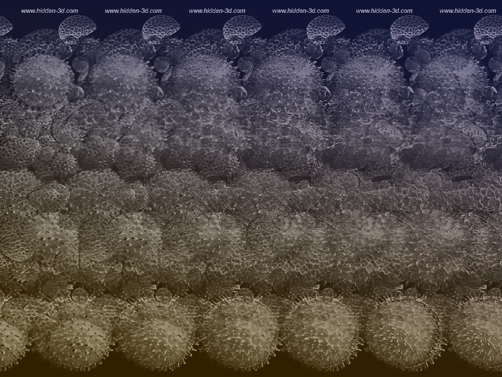 Stereogram by 3Dimka: SEM stereogram. Tags: SEM, microscope, hidden 3D picture (SIRDS)