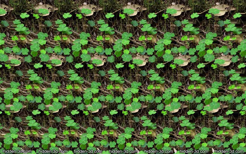 Stereogram by 3Dimka: Saint Patric's Day. Tags: saint patric, holiday, plants, forest, hidden 3D picture (SIRDS)