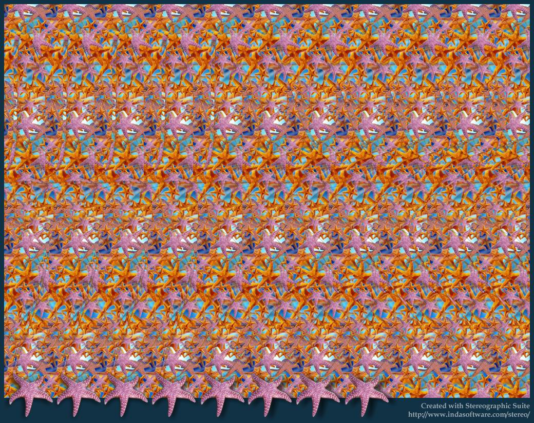 Stereogram by Indasoftware: Starfish. Tags: , hidden 3D picture (SIRDS)