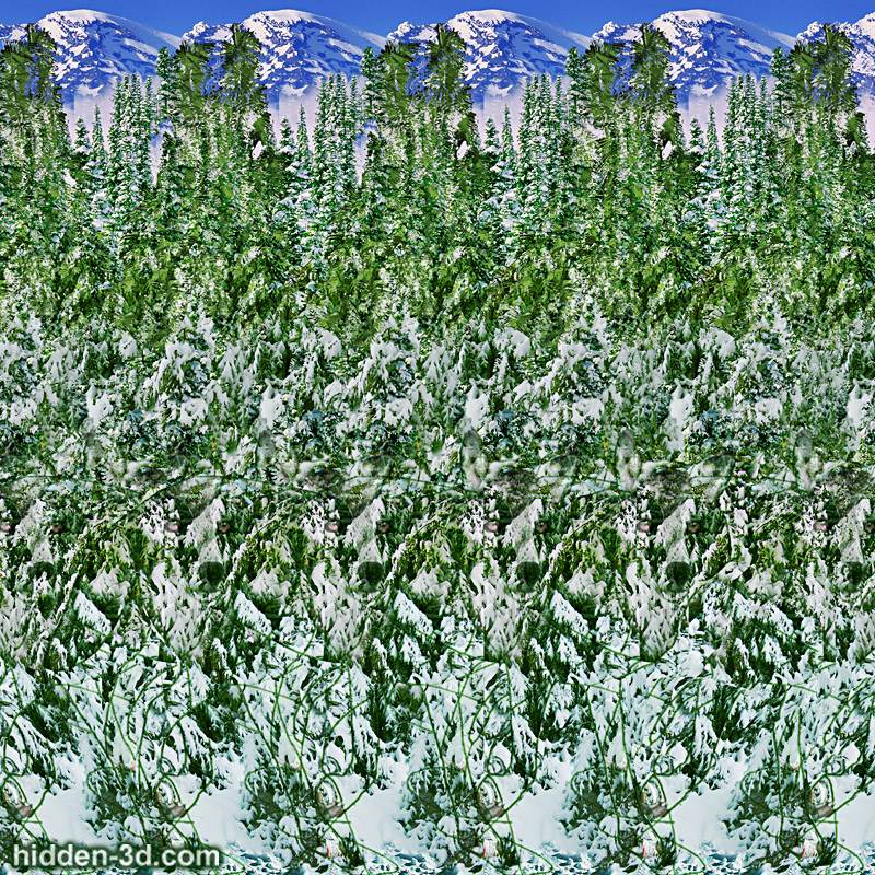 Stereogram by 3Dimka: Snow hunter. Tags: wolf forest trees snow winter, hidden 3D picture (SIRDS)