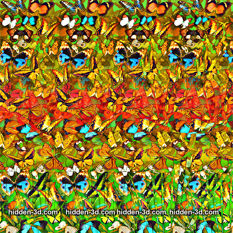Stereogram by 3Dimka: Pollen factory. Tags: flowers tulip spring, hidden 3D picture (SIRDS)