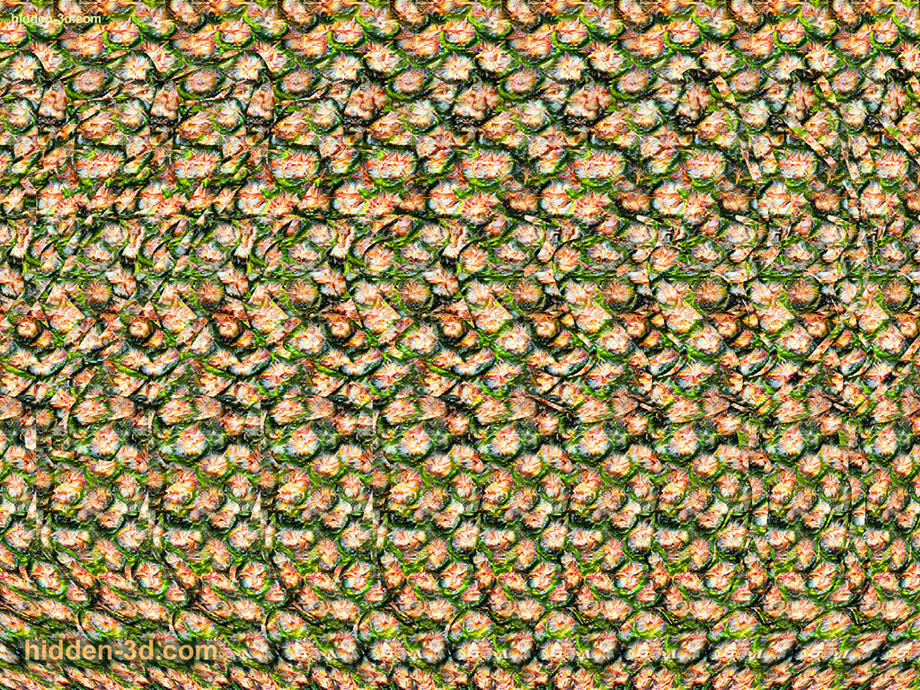 Stereogram by 3Dimka: Hungry. Tags: carrot rabbit knife cutting slice slicing ears, hidden 3D picture (SIRDS)