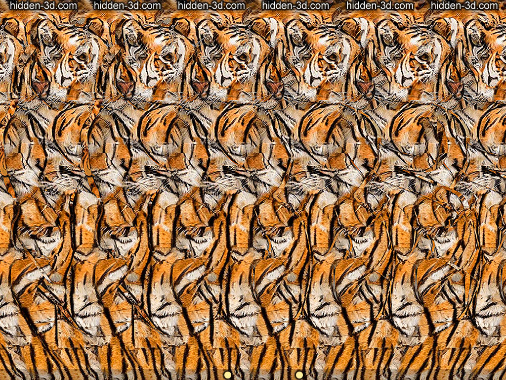 Stereogram by 3Dimka: What Year is it?. Tags: tiger 2022 happy new year eve, hidden 3D picture (SIRDS)