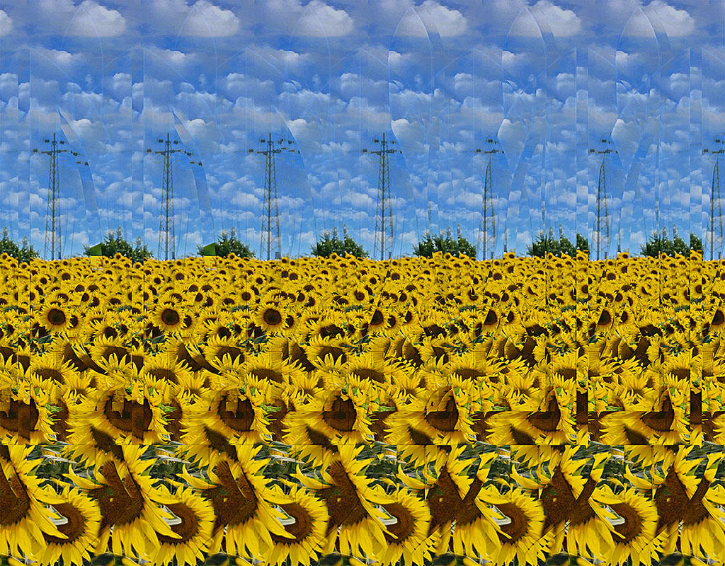 Stereogram by 3Dimka: Peaceful, but Brave. Tags: ukraine peace trident trizub flag country blue yellow sunflower sky, hidden 3D picture (SIRDS)